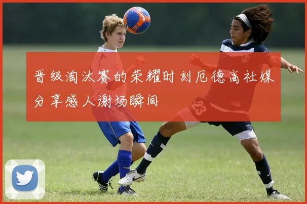 晋级淘汰赛的荣耀时刻厄德高社媒分享感人谢场瞬间