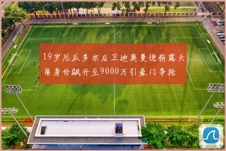 19岁厄瓜多尔后卫迪奥曼德崭露头角身价飙升至9000万引豪门争抢